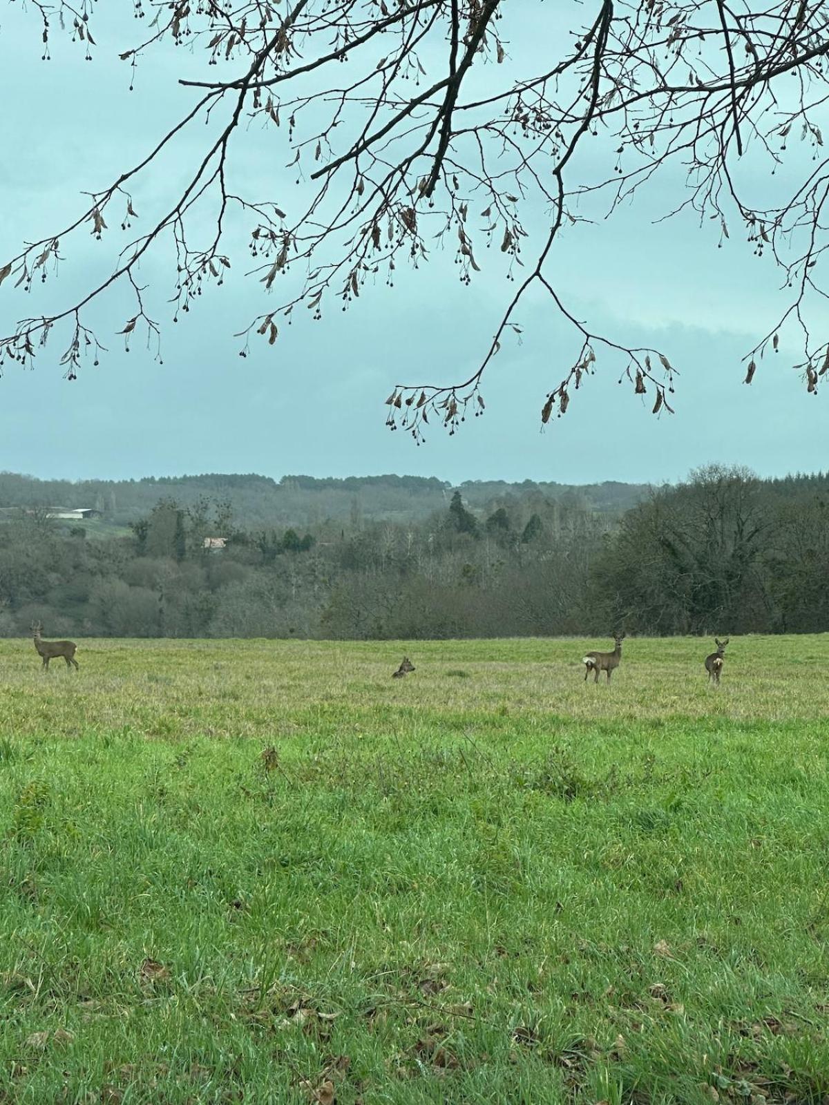 Beaulieu Saint Come Dış mekan fotoğraf