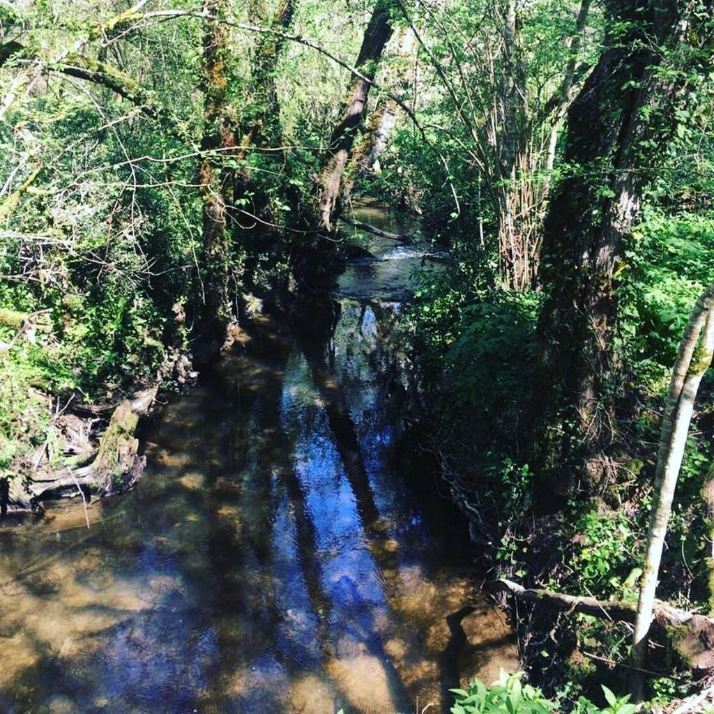 Beaulieu Saint Come Dış mekan fotoğraf
